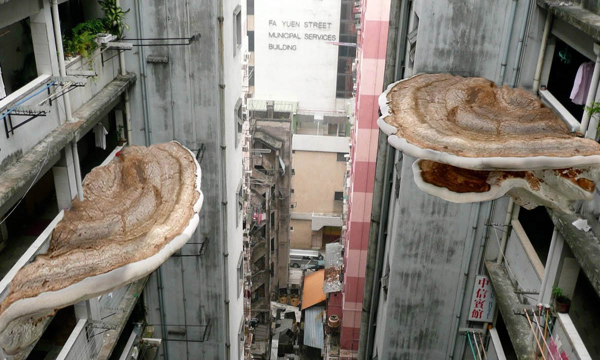 New Mumbai, Tobias Revell